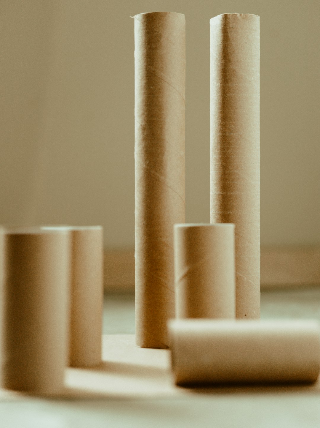 Alinutre galeria 5